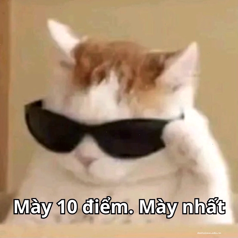 Hình ảnh một người đang thể hiện sự đánh giá cao với dòng chữ "meme mày 10 điểm"