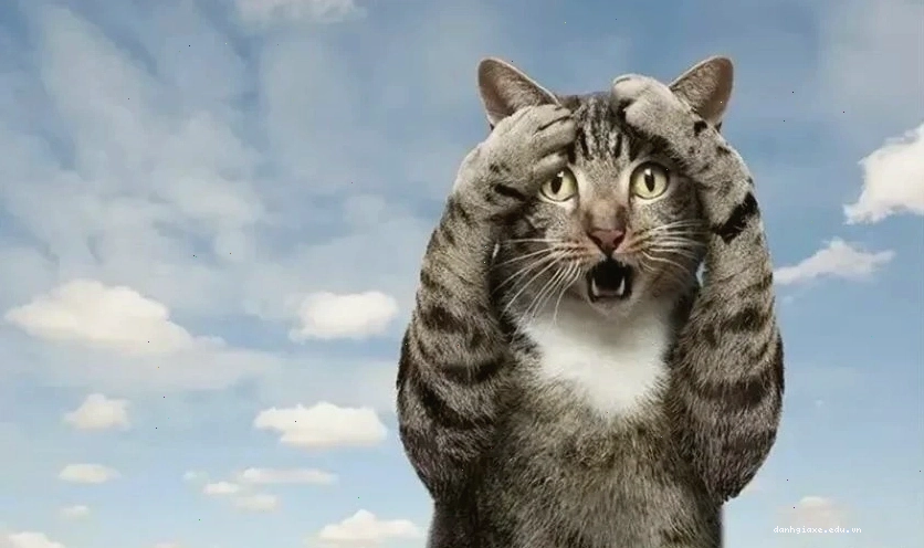 Hình ảnh một người với vẻ mặt ngơ ngác, đôi mắt lờ đờ, thể hiện sự hài hước và vô tri.