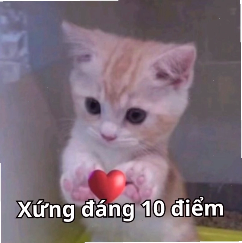 Hình ảnh một nhân vật đang làm một hành động ấn tượng, kèm theo dòng chữ "Xứng đáng 10 điểm"