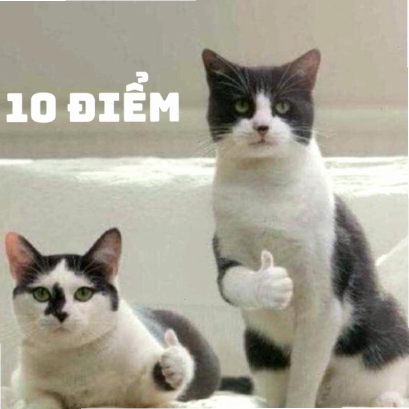 Hình ảnh một nhân vật đang thể hiện sự hài lòng tuyệt đối với dòng chữ "Meme mười điểm"