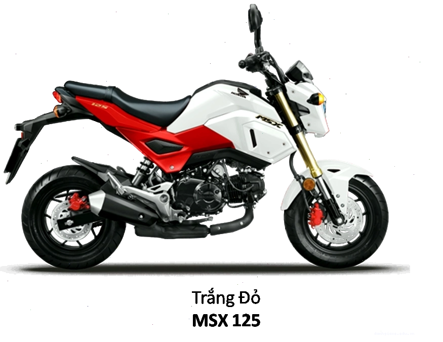 Honda MSX 125 với bộ tem thể thao