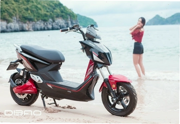 Hướng dẫn sử dụng xe điện an toàn