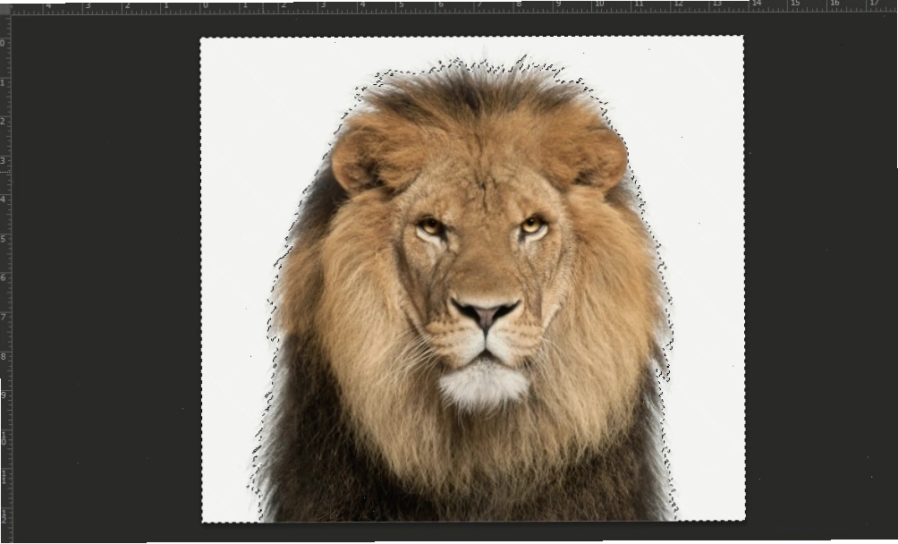 Kết quả chọn vùng với Magic Wand Tool trong Photoshop