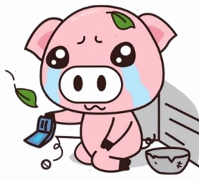 Khuôn mặt tròn xoe của một chú chó đang nhìn chằm chằm vào một đồng tiền với ánh mắt thèm thuồng