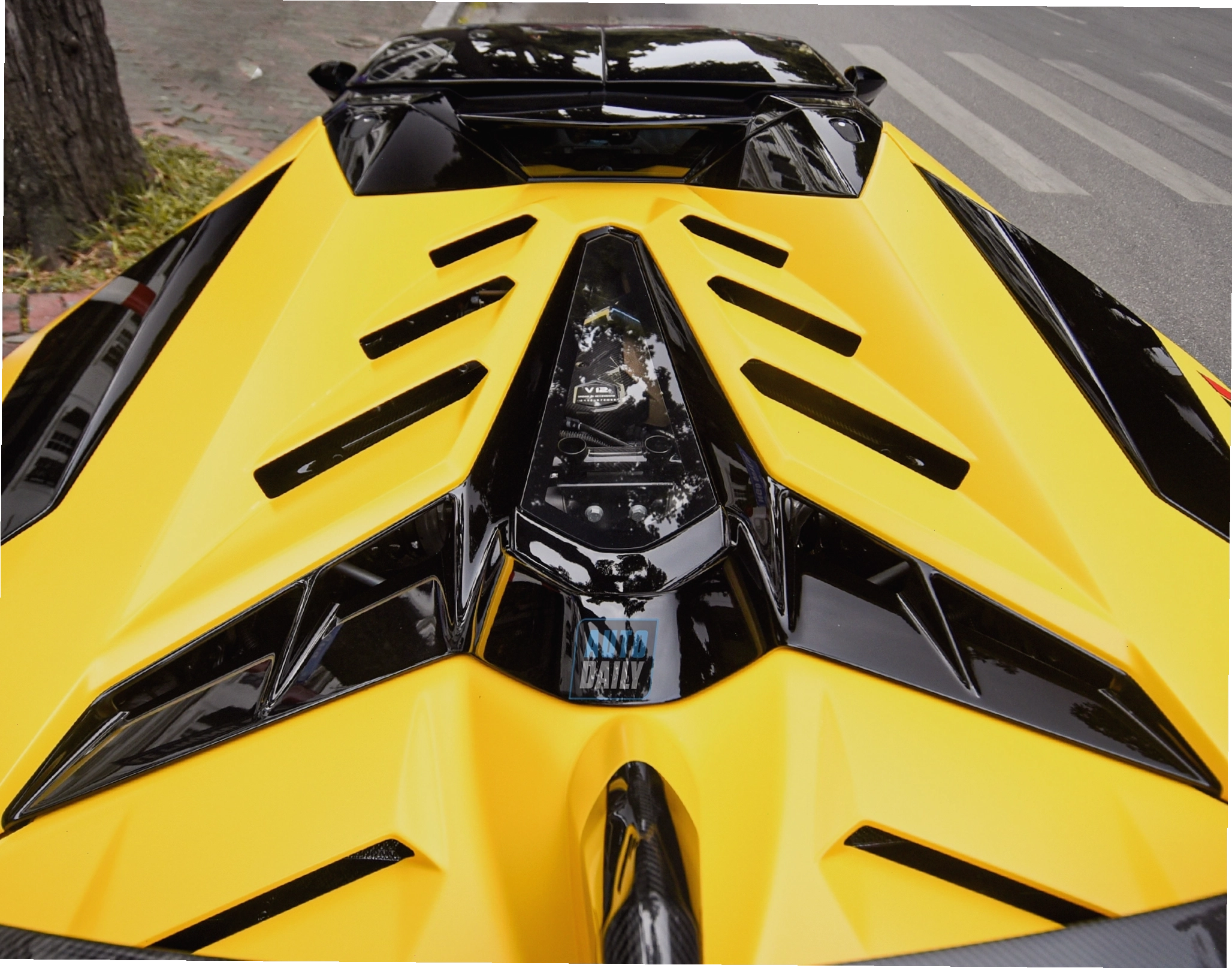Lamborghini Aventador SVJ Roadster trong một khung cảnh ấn tượng