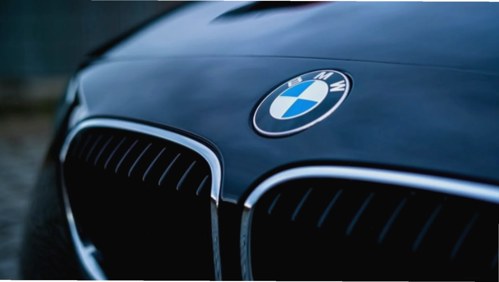 Logo hãng xe sang BMW với vòng tròn xanh trắng đặc trưng