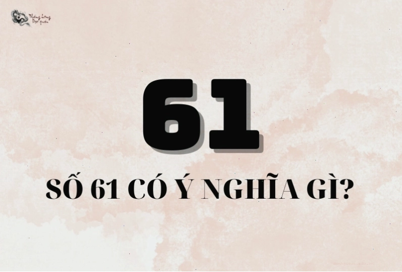 Lời khuyên cho chủ xe biển số đuôi 61