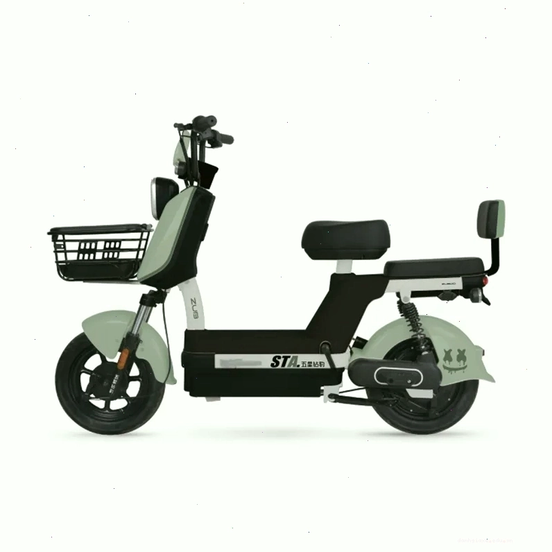 Lựa chọn xe đạp điện Zuboo phù hợp
