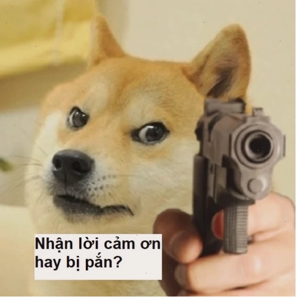 Meme chú chó cầm súng, có thể đang bắn 