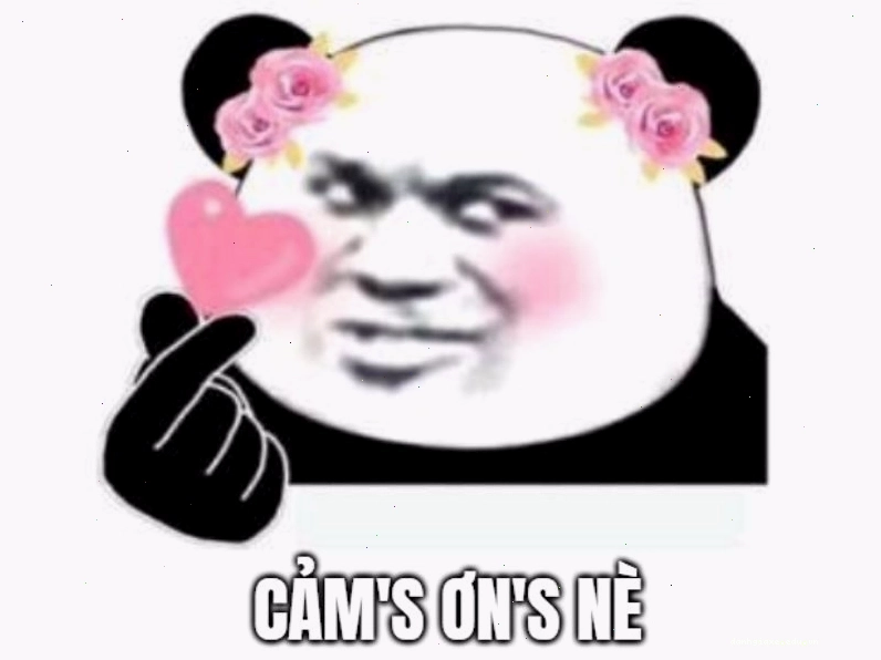Meme gấu trúc thả tim, biểu đạt sự cảm ơn và yêu thích