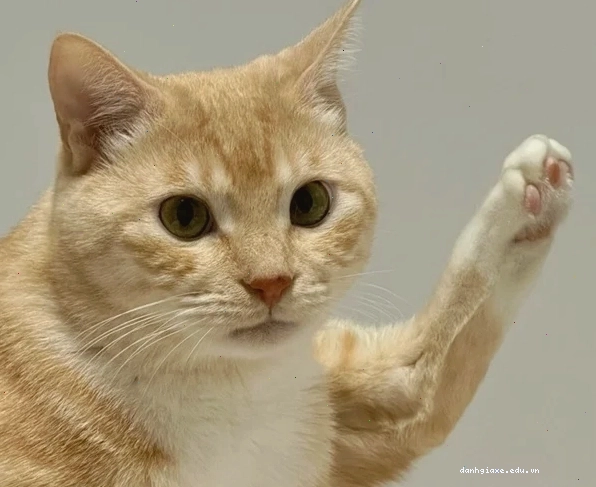 Meme giơ tay số 7 thể hiện sự hào hứng