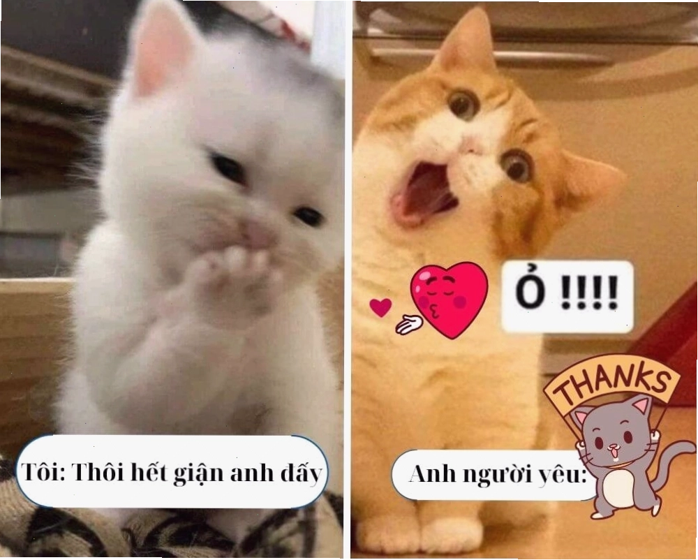 Meme ngắn gọn với chữ Thanks
