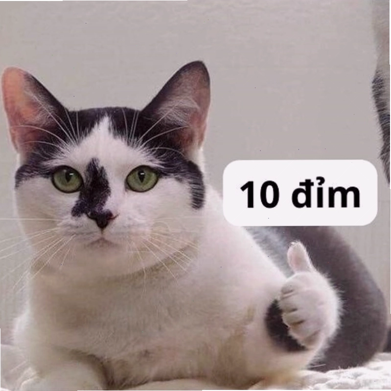 Meme sử dụng số "mười" viết bằng chữ, kết hợp với biểu tượng vui nhộn