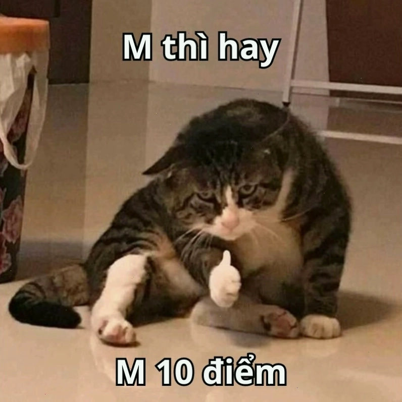 Meme với câu nói "m hay rồi m" đi kèm với đánh giá 10 điểm, thể hiện sự ngạc nhiên và thích thú