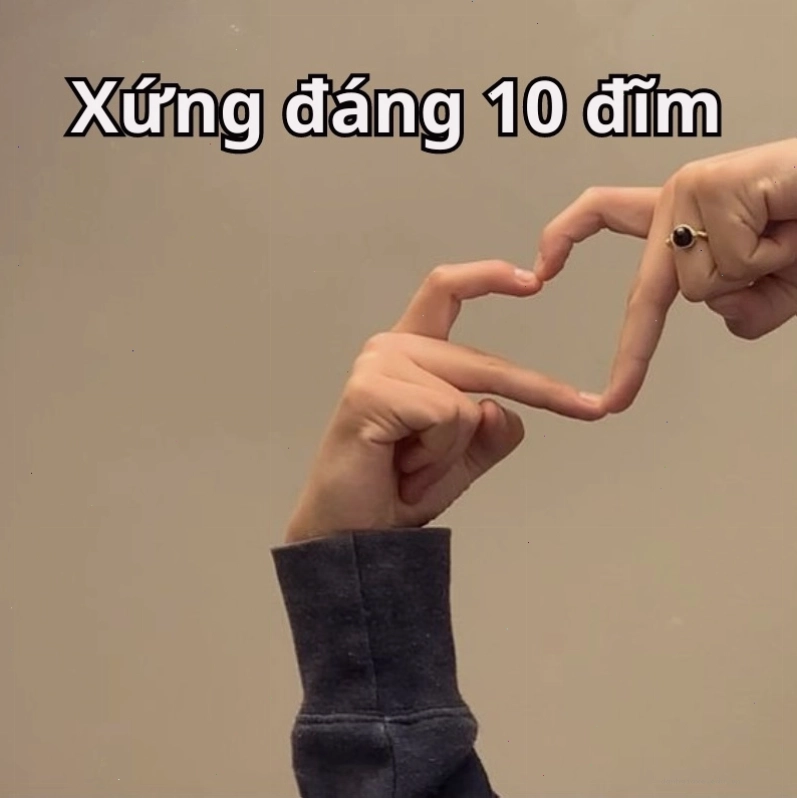 Meme với dòng chữ "meme điểm 10 vui" và hình ảnh minh họa sinh động