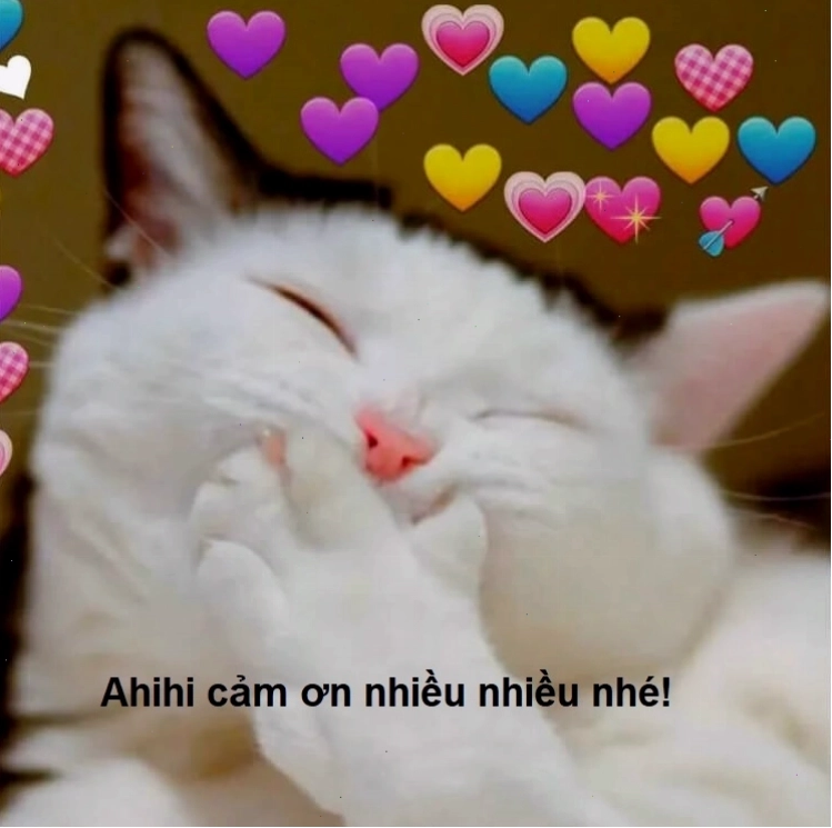 Meme với dòng chữ Xin Cảm Ơn, biểu cảm của nhân vật khá trang trọng