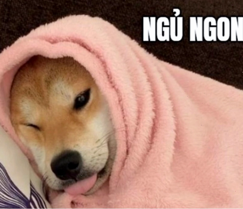 Một chú chó đang nằm ngủ với tư thế kỳ lạ, trông rất hài hước.