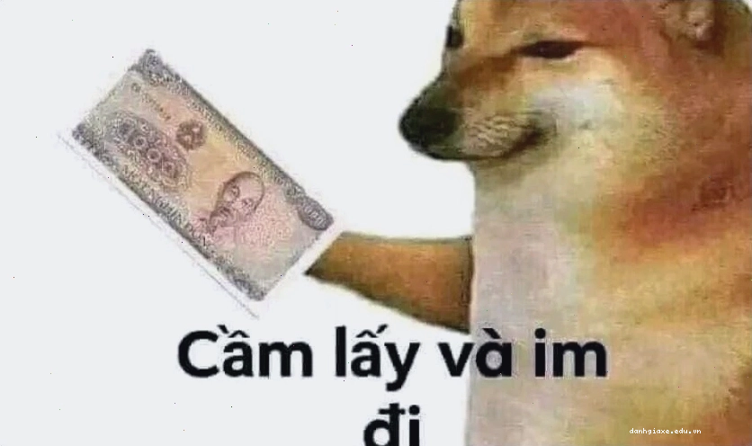 Một chú chó khác với vẻ mặt ngạc nhiên, biểu cảm cực kỳ hài hước, là một meme điện thoại hài khác.