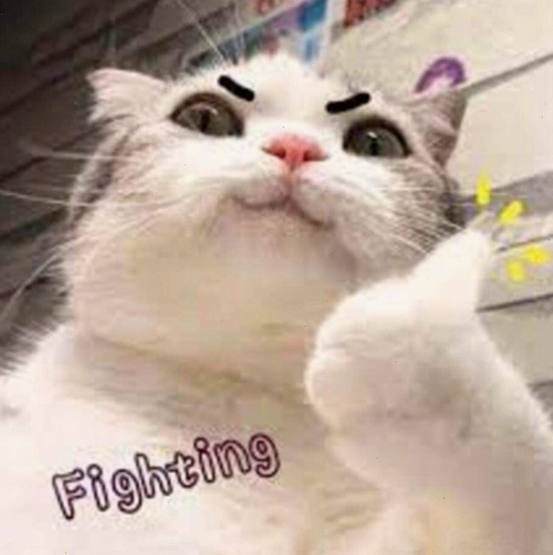 Một hình ảnh meme giải thích lý do tại sao chúng ta cần những lời động viên như "Cố lên"