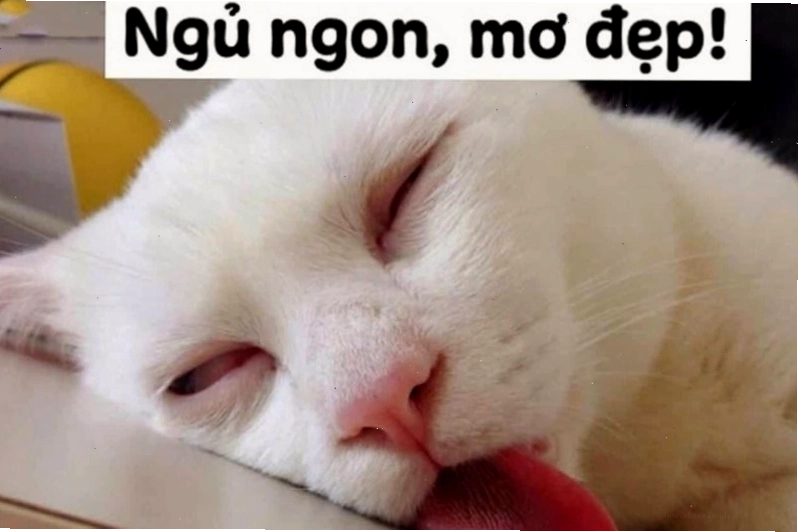 Một người đang cố gắng giữ tỉnh táo để xem phim nhưng mắt đã díu lại.