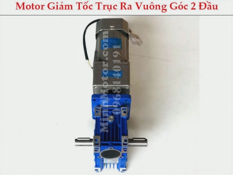 Motor giảm tốc trục ra vuông góc với hai đầu trục