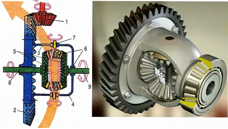 Nguyên lý hoạt động của bộ vi sai xe ô tô