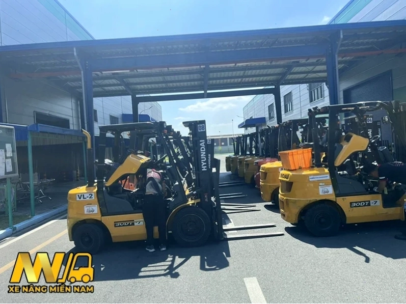 Sửa xe nâng điện Bình Dương chuyên nghiệp