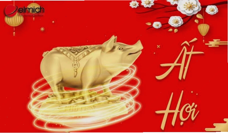 Thông tin cơ bản về người tuổi Ất Hợi 1995