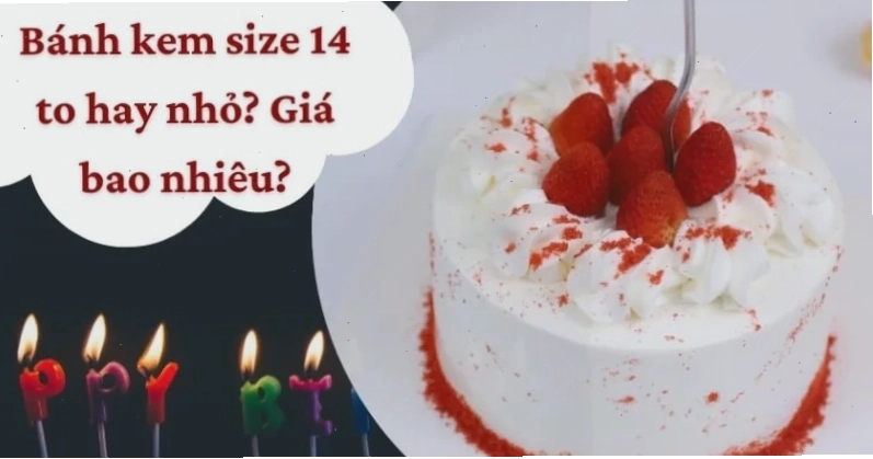 Tìm hiểu bánh kem size 14 to hay nhỏ