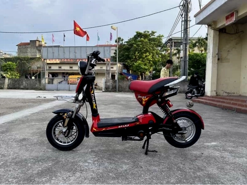 Tổng quan xe đạp điện M133 cũ