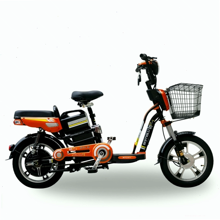 Tổng thể xe đạp điện Bomelli B16