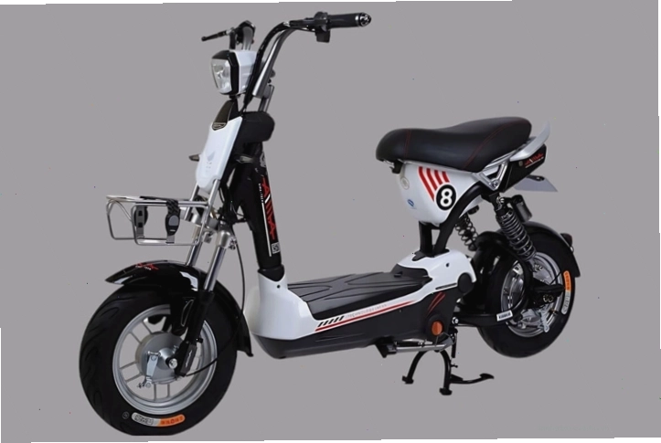 Xe đạp điện Aiwa Đài Loan có thiết kế nhỏ gọn, thanh lịch