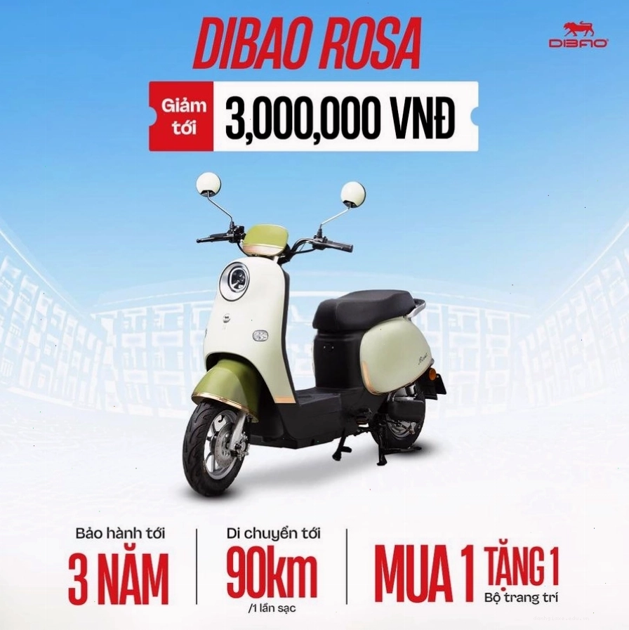 Xe đạp điện DIBAO Rosa màu sắc nữ tính