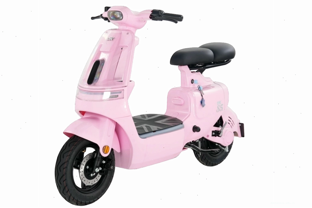 Xe đạp điện DK Bike S5 kiểu dáng thể thao