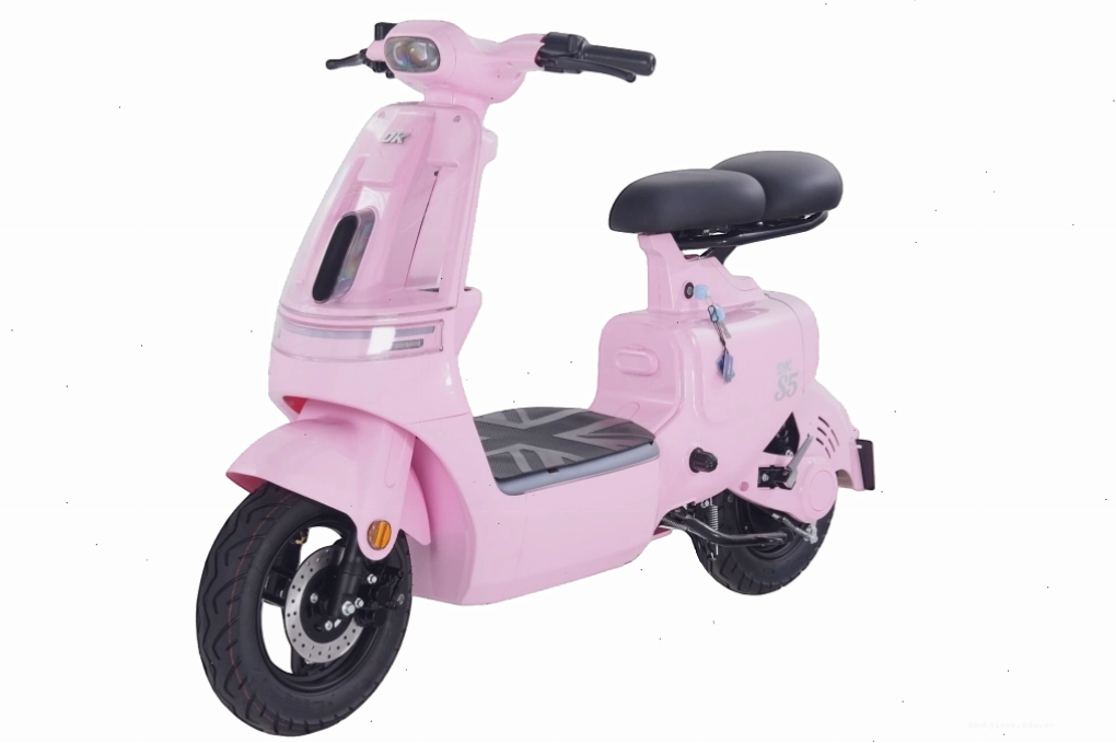 Xe đạp điện DK Bike S5 thiết kế thể thao