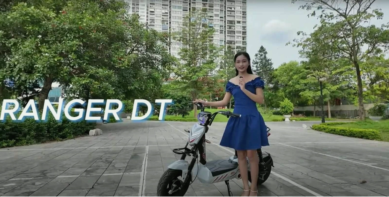 Xe đạp điện DT Bike 12Ah