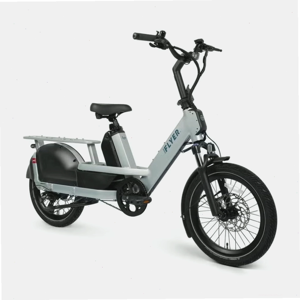 Xe đạp điện Flyer Loop
