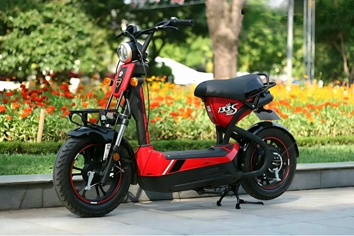 Xe đạp điện Mini Giant 133S nhỏ gọn và tiện lợi