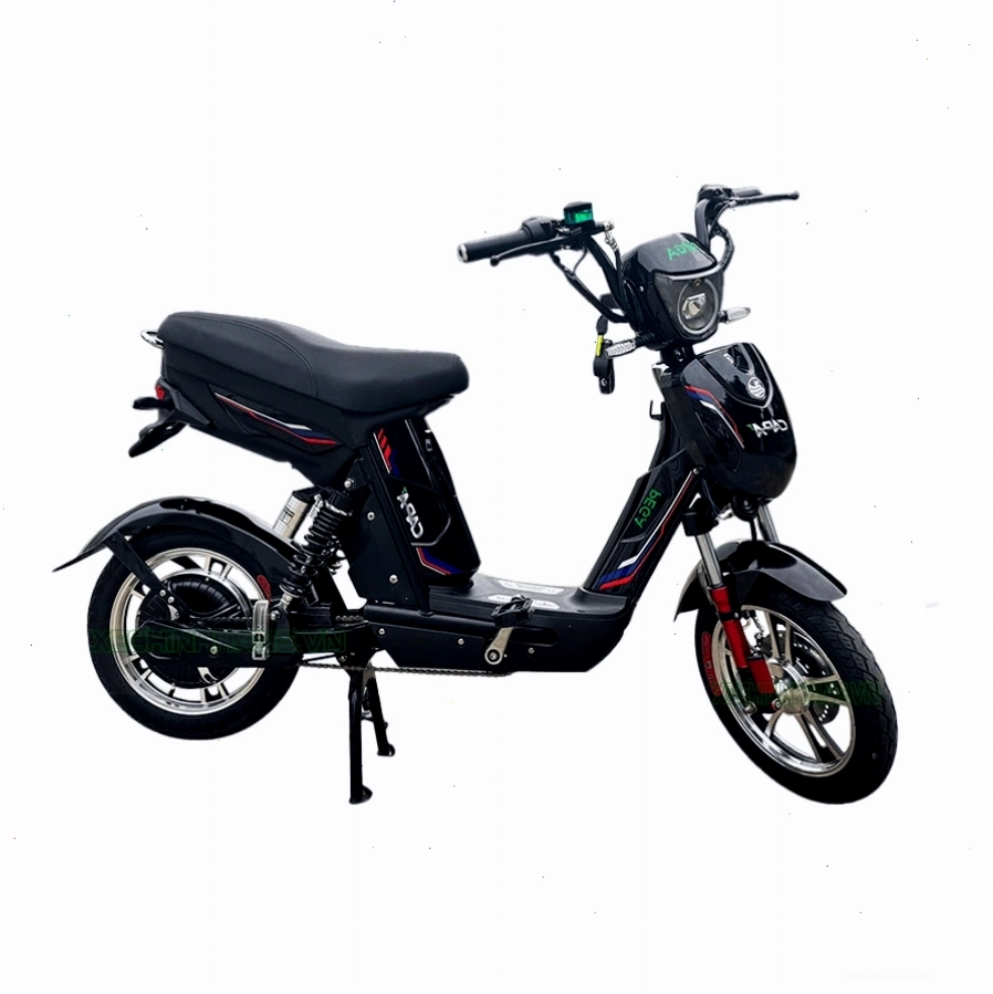 Xe đạp điện Pega Cap AT màu đen
