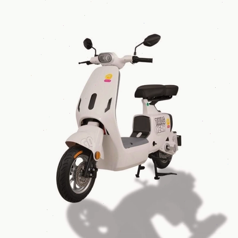 Xe đạp điện TAILG GR55 bền bỉ và mạnh mẽ
