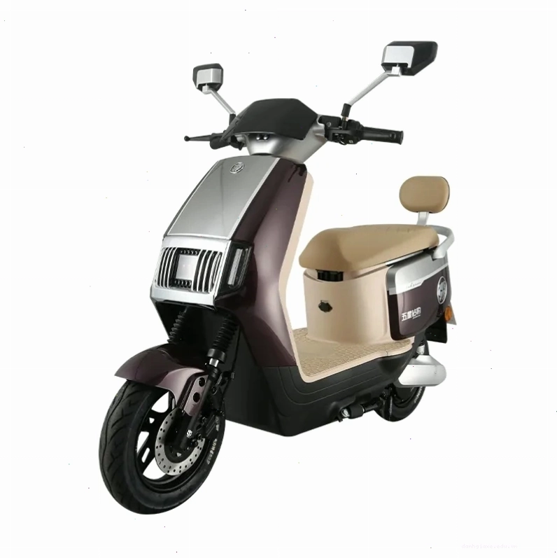Xe đạp điện Zuboo trên đường phố