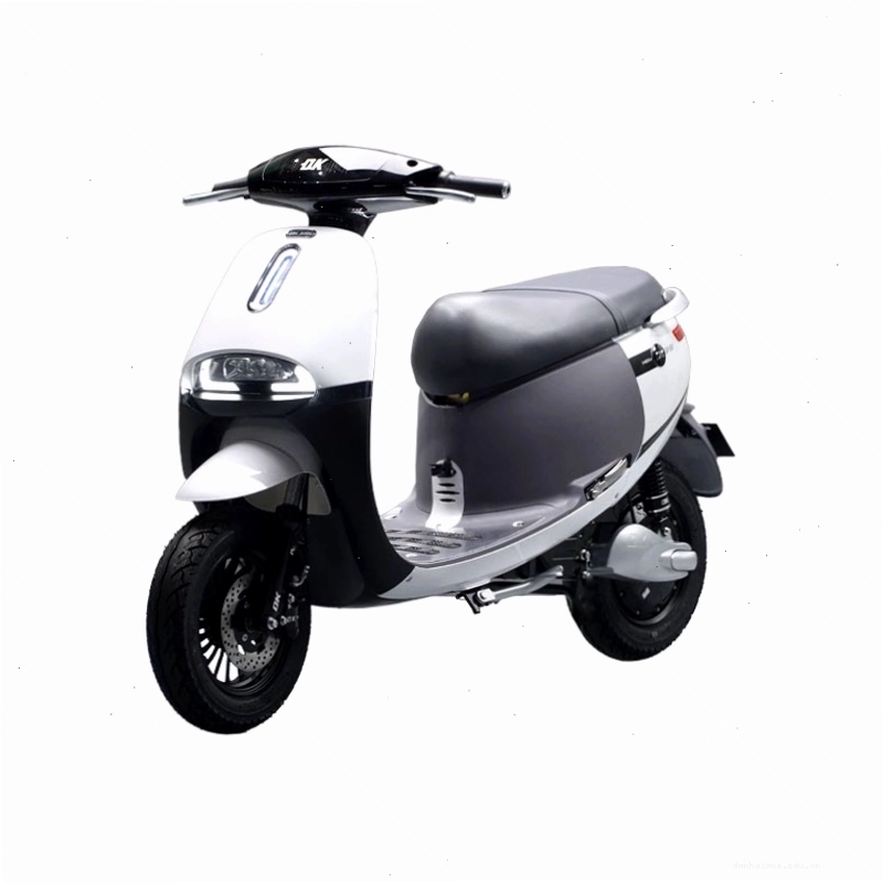 Xe điện DK Bike Gogo Super (NFC) với thiết kế mạnh mẽ và tiện lợi