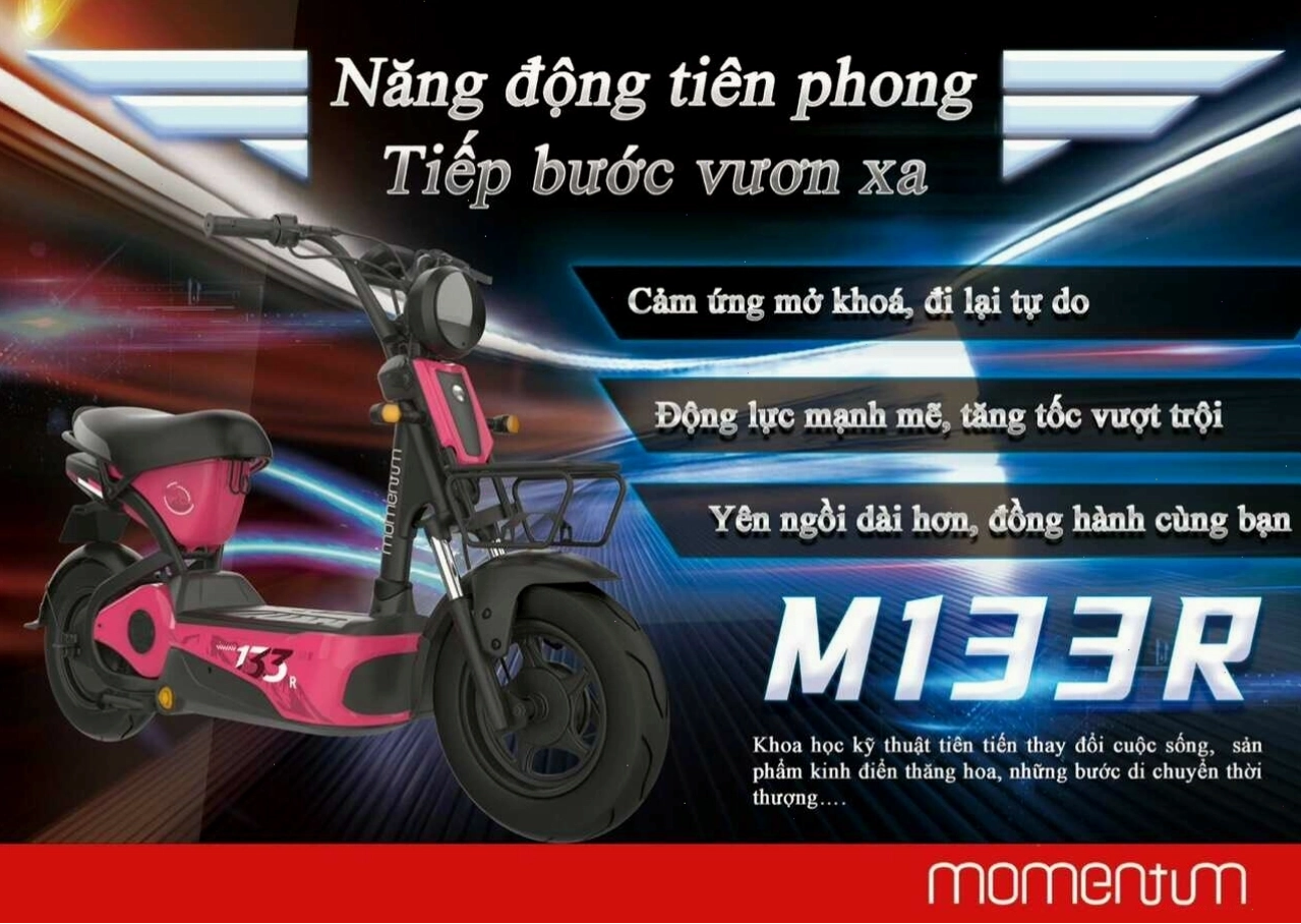 Xe điện Giant M133 R thẻ tư