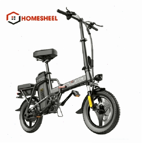 Xe điện HOMESHEEL FTN T5S