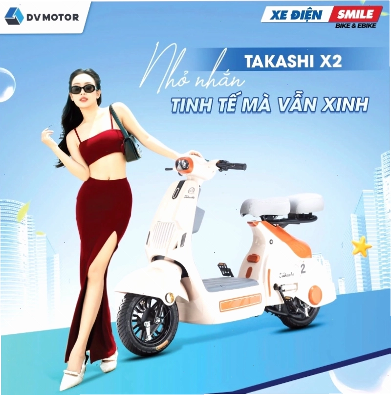 Xe điện Takashi X2 sử dụng 4 b&igrave;nh ắc quy
