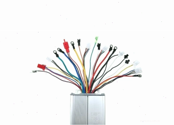Xe máy điện có cần đăng ký biển số không