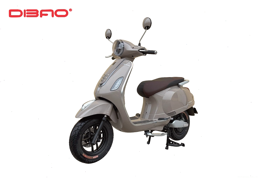 Xe m&aacute;y điện Dibao Pansy S3