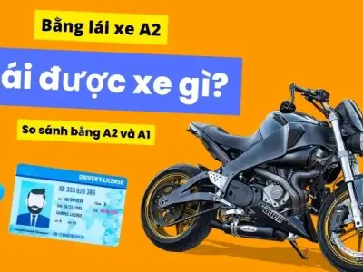 Bằng A2 được lái xe gì? So sánh bằng A2 và A1