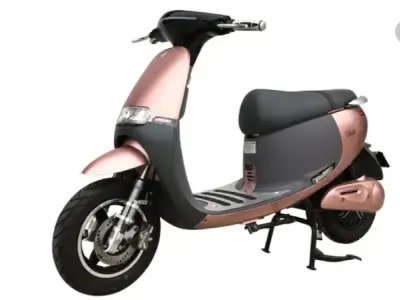 Xe máy điện Gogo SS - Thiết kế thời trang, vận hành mạnh mẽ