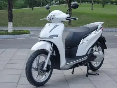 Xe máy điện Pega S (ESP | eSH) - Chinh phục mọi địa hình